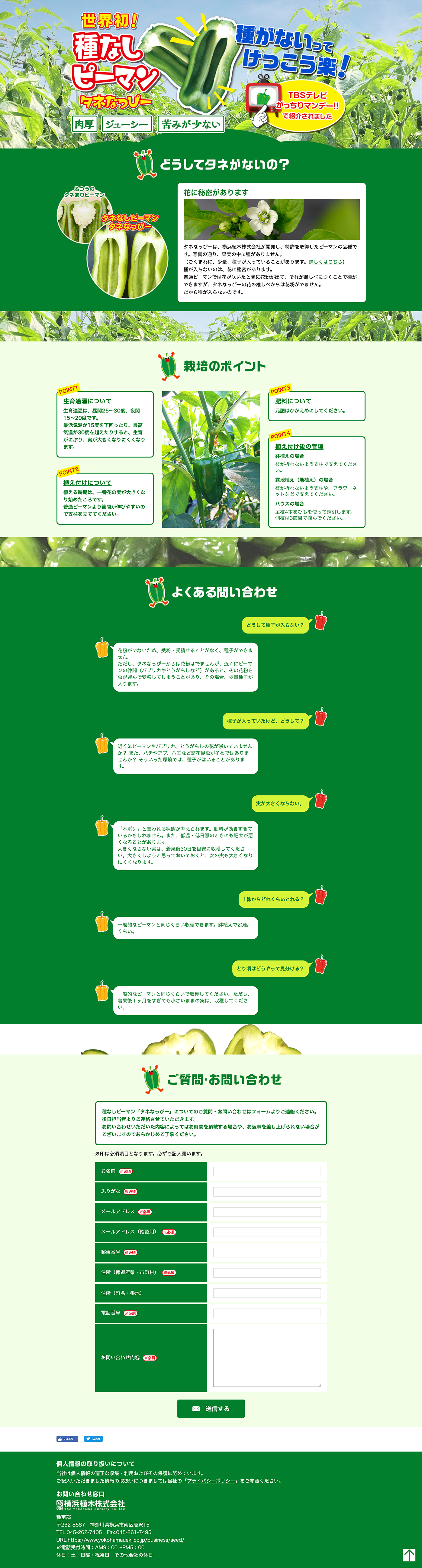 横浜植木株式会社 種なしピーっマン タネなっぴー